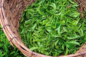 Πράσινο-τσάι