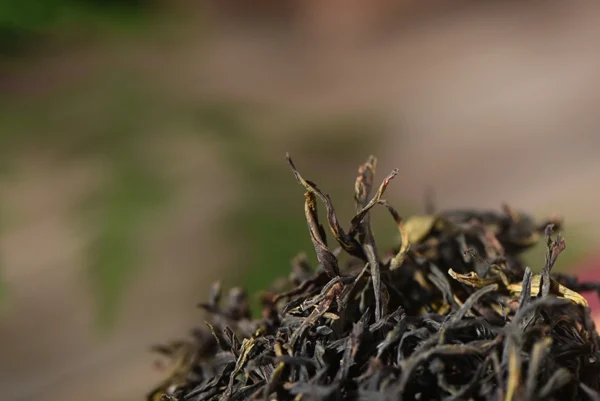 Oolong Τσάι-Dan Cong Ορχιδέα Μελιού(25-100g) - Image 3