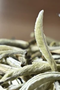 white tea 1 λευκό-τσάι